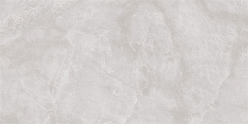 尊龙凯时人生就是搏瓷片W60025EP-WH