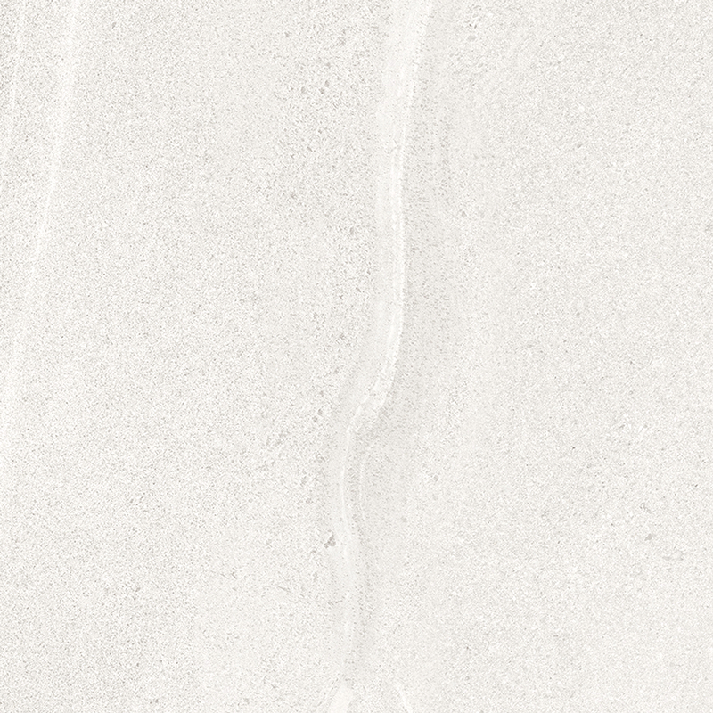 2-2R30868(300X600)亚光